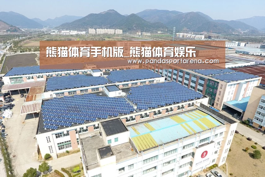 案例展示四