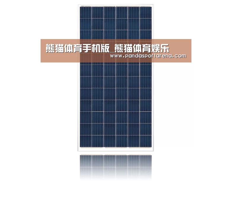 产品名称一