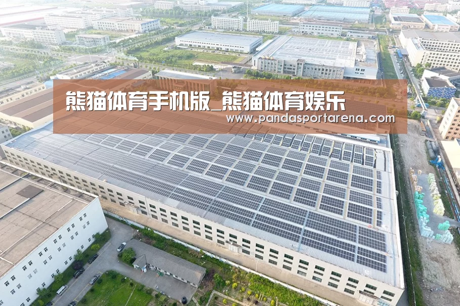 案例展示二
