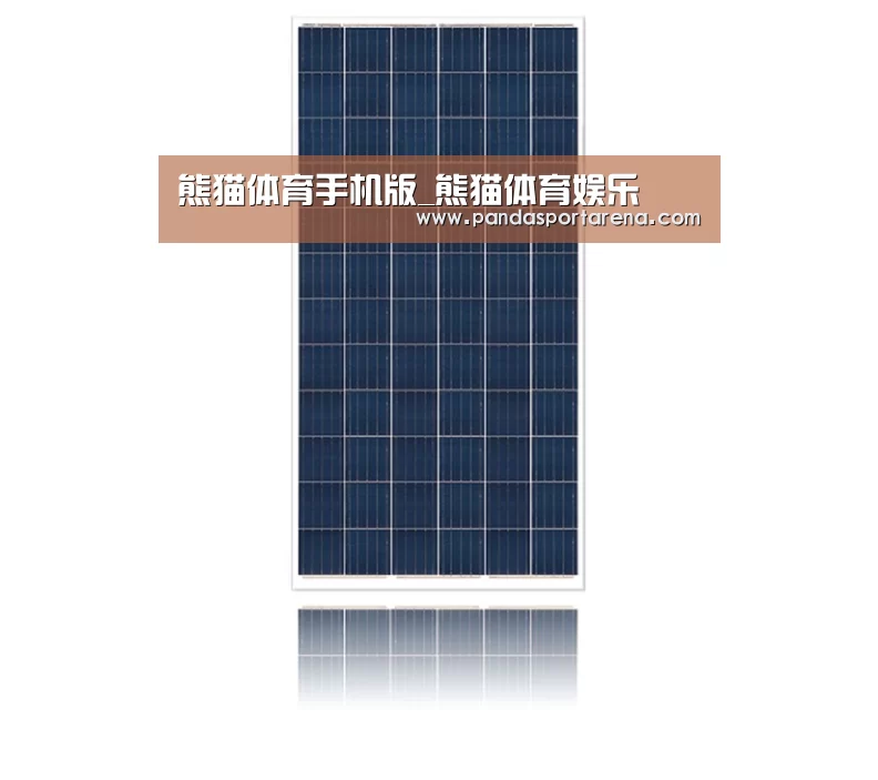 产品名称四