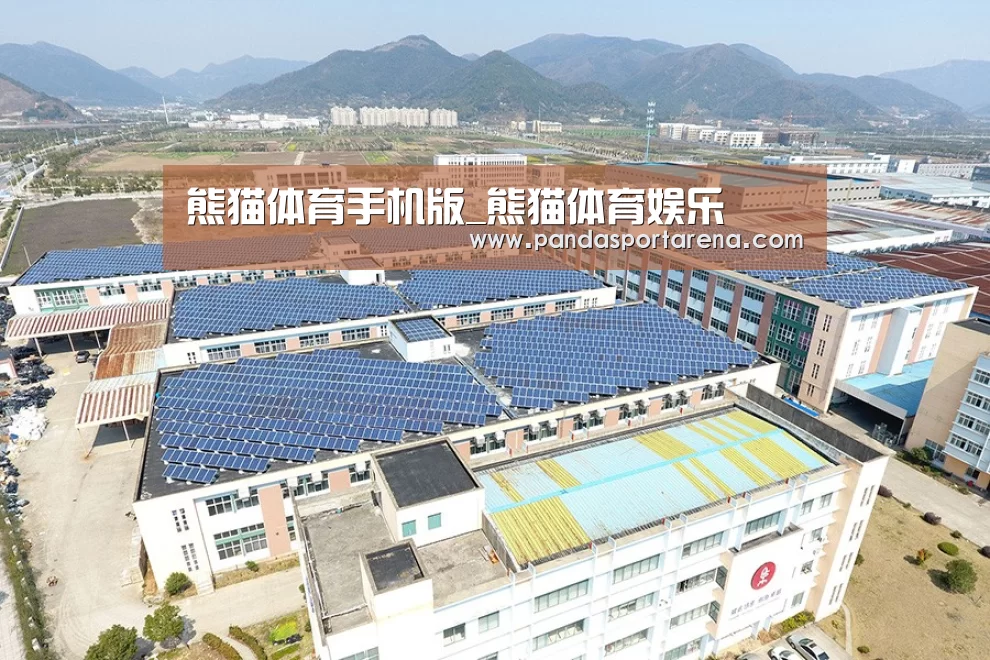 案例展示三