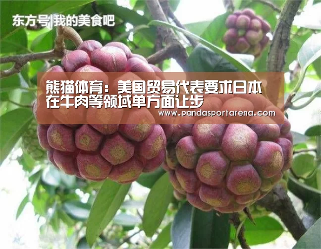 熊猫APP