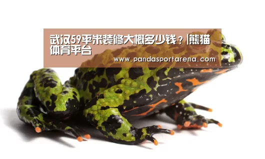 武汉59平米装修大概多少钱？|熊猫体育平台